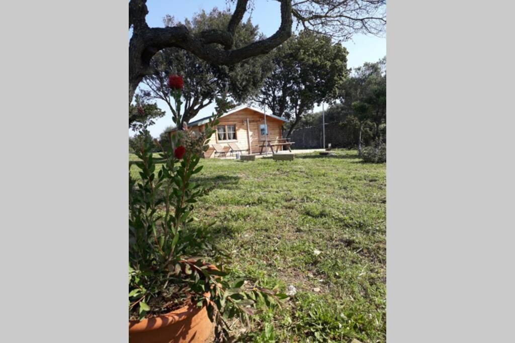 Chalet Climatise Santa Maria A Bonifacio Bonifacio  Zewnętrze zdjęcie